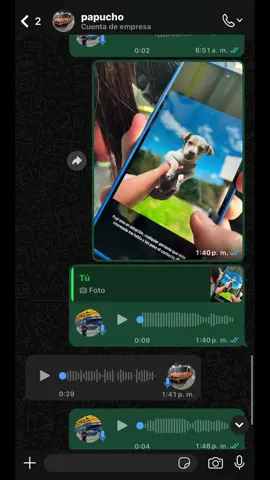 ig:tiari_y_papucho / ayudenme a que papucho quiera adoptar un perrito. #viraltiktok #xyzcba #paratii #paratiiiiiiiiiiiiiiiiiiiiiiiiiiiiiii #perro 
