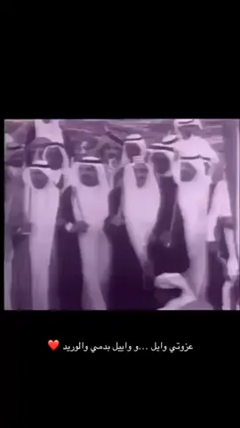 #المملكه_العربيه_السعوديه🇸🇦 #عنزه #عيال_وايل #الكويت🇰🇼 #البحرين🇧🇭 