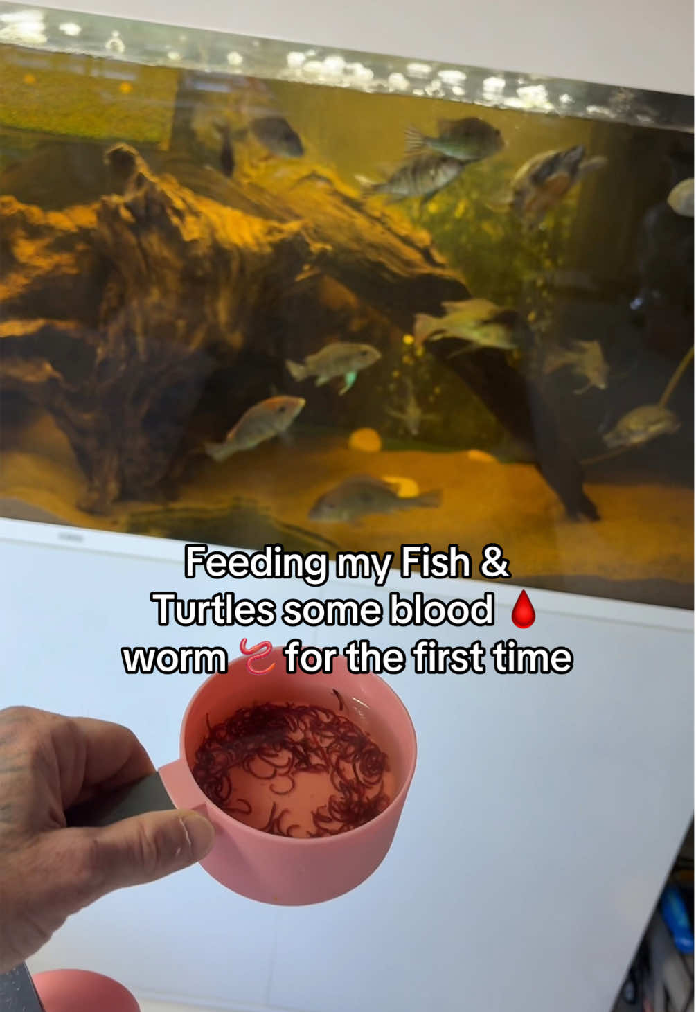 #foryoupage #dadsoftiktok #dadlife #dadtok #dadsontiktok 