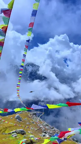 📍Tserko Ri, Langtang Nepal🫶 #tserkori_4985m #lantang #nepal #foryoupage #fyp 