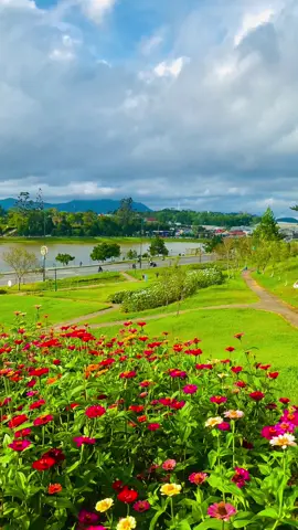 Chiều thu.                                                             #views #foryou #beautiful #dalat #chill 