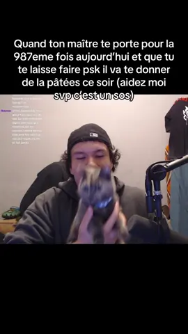 Twitch : mentalowskii 