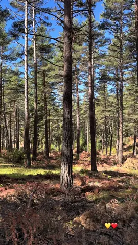 #keşfet #keşfetteyiz #gezmeler #karabük #fypviral 