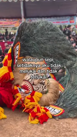 #storyreog #boloreog #fyp 