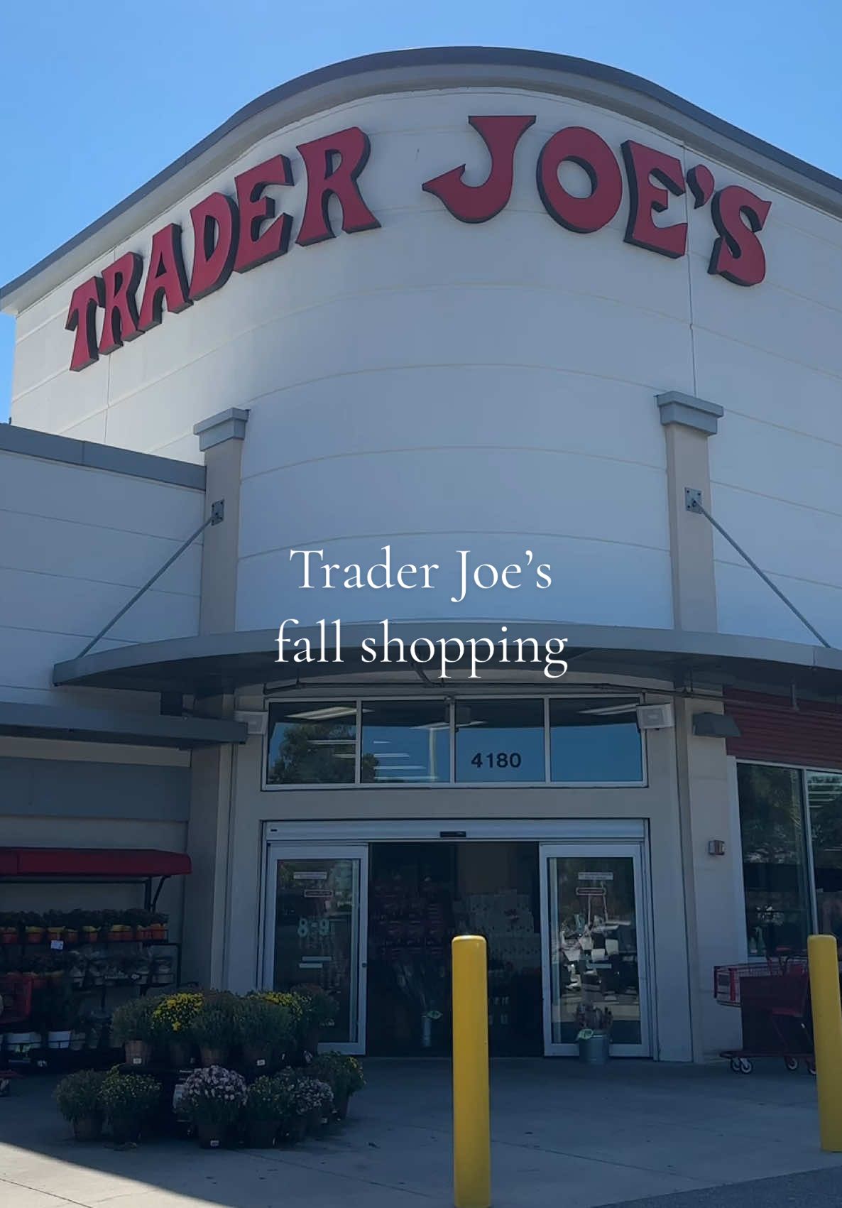 Nothing better than a fall Trader Joe’s  trip🍂🛒🎃🤎 #fallvibes #shopwithme #traderjoes #fall #shopping 
