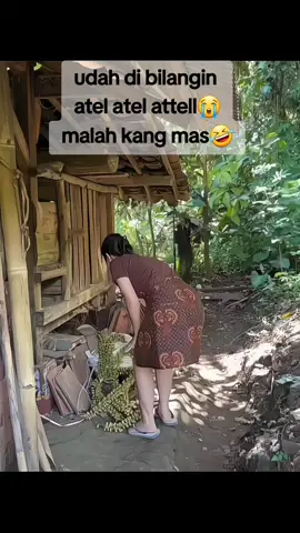 turunken atel teh 🤣🤣😭😭 #sundayfunday #tetehsunda #fyp #masukberanda #trending 