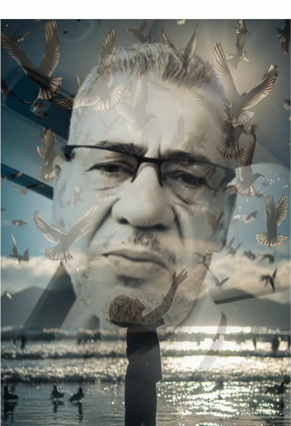 كل ما يبحث عنه الإنسان هو الامان ••••