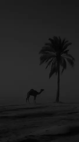 قال رسول الله ﷺمن قرا هذا الدعاء فتح الله لهو ابواب الجنة وفرج همه  #اللهم_صلي_على_نبينا_محمد #حديث  #حديث_عن_الرسول #ادعيه #اكسبلور 