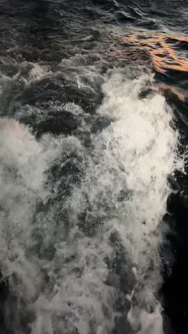 #capetown  #Summer #fyppppppppppppppppppppppp  #sunset  @Cape Town Cruises 