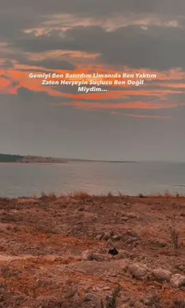 𝐘𝐮̈𝐫𝐞𝐤 𝐲𝐚𝐤𝐚𝐧 𝐬𝐨̈𝐳𝐥𝐞𝐫 𝐚𝐥𝐚𝐥ı𝐦…🥀🕊️#storylikvideolar📌 #şanlıurfa #i_zahit #keşfetteyi 