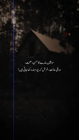 چاہے گمان ٹوٹ بھی جائیں، ساتھ چھوٹ بھی جائیں اور تم مجھے حالات کی نظر کر دو لیکن کبھی مجھے نقصان پہنچانے والوں میں سے نہیں پاؤ گی، کیونکہ ہم جیسے لوگ رخصت ہو جاتے ہیں دھوکہ نہیں دیتے !!  🤞🏻💯💔🍂