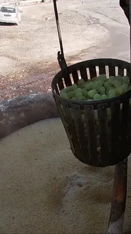 د کندهار د سوداګرۍ او پانګونې خونه وايي، تېر کال شاوخوا ۱۰ زره ټنه ممیز د ۳۱ میلیونه ډالرو په ارزښت بهرنیو هېوادونو ته صادر شوي دي. ابجوش د 