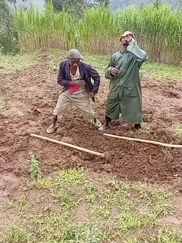 Funny video in Africa 