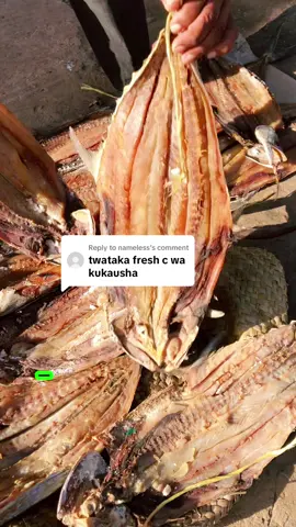 Replying to @nameless #driedkingfish #blueeconomyke #mombasafishmarket #oceanconference2026 #hadhaminfadhlirabbi 