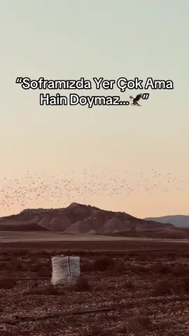 #keşfeteyizzzzzzz #sitorilikvido🖤📌 #sıtorilikvidyo📌 #raconsözler #raconsözler #fyppppppppppppppppppppppp #raconsahneleri #ağirsözler #enağırsözler 