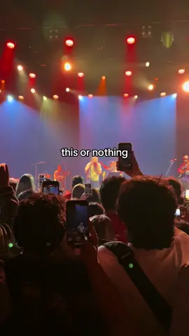 Relationship goals fr #macdemarco #concert #cute #fyp