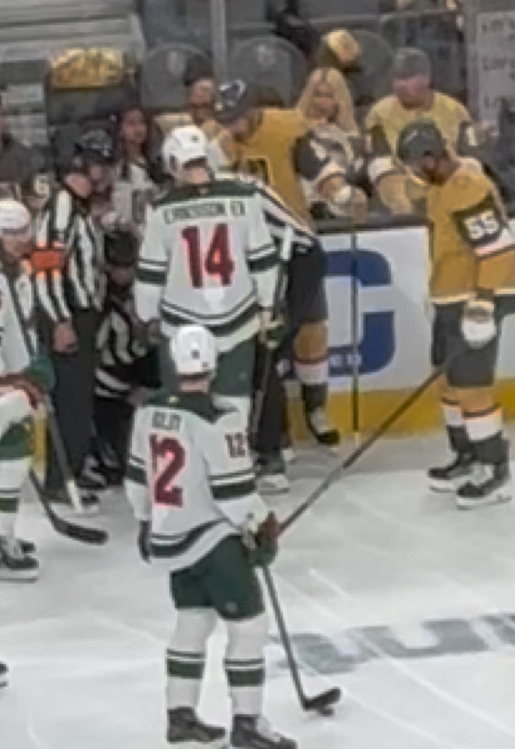Have you seen this rare sight?Throwback to April 2025 Ref down I was so happy to see him get up.  What rare things have you seen at a hockey game? I’m going to make myself a Bingo card for this hockey season of all of the rare things that I would like to see.  …including: I want to witness an EBUG!!!! #VegasGoldenKnights #MinnesotaWild #EBUG #RefDown #HockeyMoments