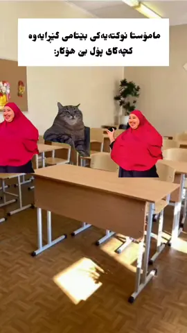 پێبکەنن باتەریق ەبێتۆ #fyyyyyyyyyyyyyyyyyyyyyyyyyyyyyyyyyy #pov #viral #viraltiktok #foryou 