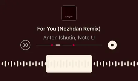 For You (Nezhdan Remix) #elbruso 