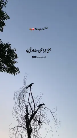 آج علم ہویائے تیری چاہت دی 💯❤️‍🩹🥺 #پنجابی_دوہڑے #پنڈاں_والے #m_umair69 #ForYou #ForYouPage 