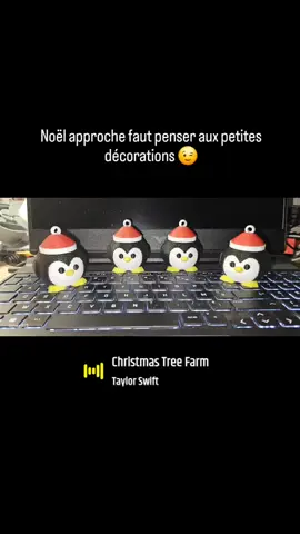#noël2025##bretagne #pourtoi #anicubickobra3 