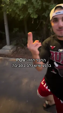 תייגו חבר פחדן אכושילינג