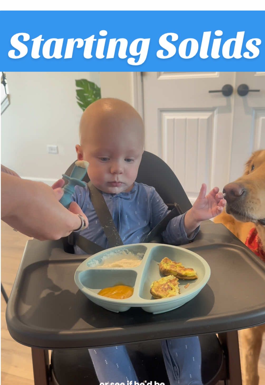 We officially graduated from our first allergy and we are on to peanut butter!! #startingsolids #babyallergen #babyfoodideas #babyeggs #babyfood 
