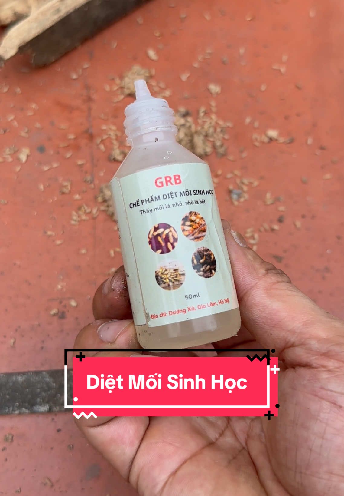 Diệt Mối Sinh Học #dietmoi #dietmoisinhhoc #grb #tungbillreview #LearnOnTikTok 