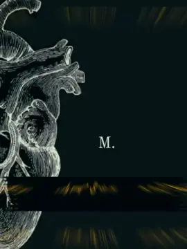 #M Meri Jan 🥺💔🥀#fypシ #trending #foryou #foryoupage 