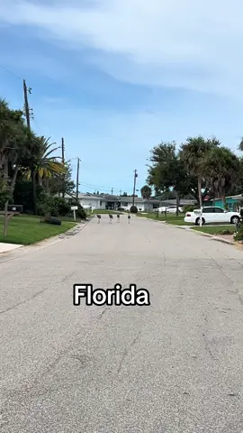 #foryou #florida 