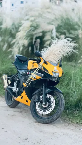 Kashful X bike🕊️✨#foryou #gsxr150 #bangladesh #1millionaudition_ #fyppppppppppppppppppppppp 