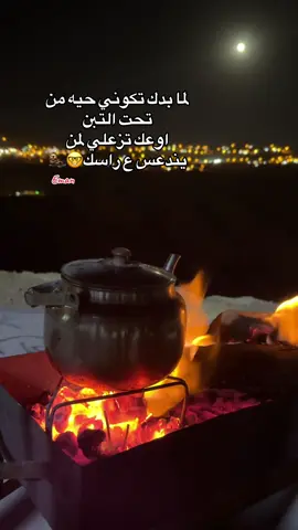 لما بدك تكوني حيه من تحت التبن  اوعك تزعلي لمن يندعس ع راسك  ##مساء_الخير  #تصويري_احترافي_الاجواء👌🏻🕊😴 