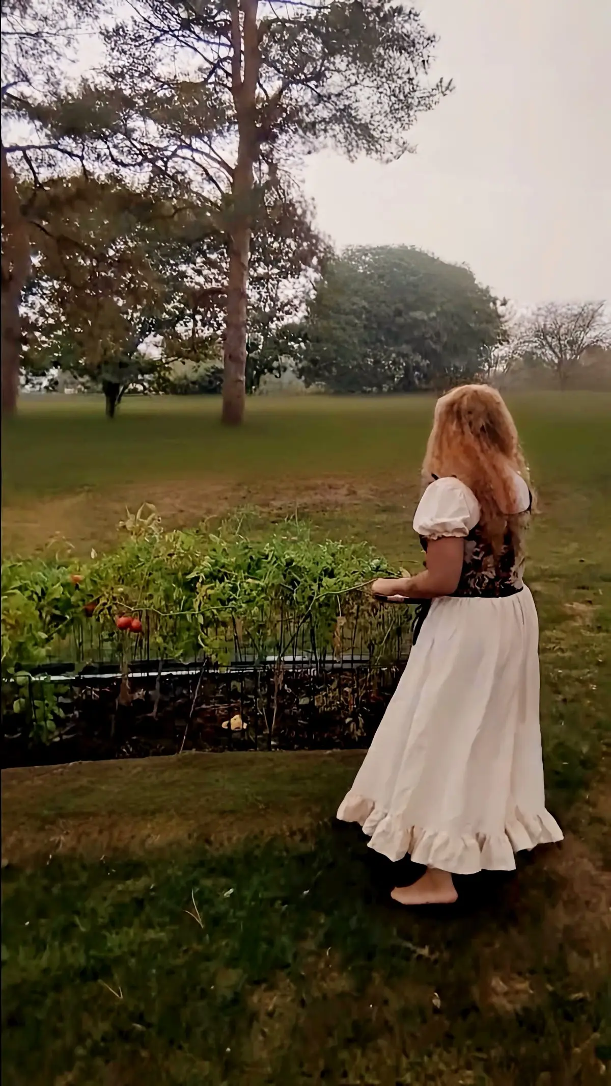 The Autumnal Equinox…when day and night weigh the same, but only for a moment.  The veil betwixt worlds said to thin as the shadows lengthen. I tended the earth as I always do…sweeping, gathering, keeping. Yet even in such ordinary labors, there was a heaviness in the wind. It watched. It waited.  The garden gave her fruits… but the season ahead asks for more than what is sown. The season of shadows hath begun. 🕯️ #AutumnalEquinox #Fall #SeasonOfShadows #spooky #fyp 