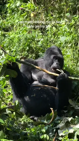 I always love to keep things interesting @Intrepid Travel #intrepid 