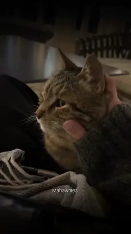 😭🥹✨❤️‍🩹✨💕👀#islamic contentvideos #exploreislamic content #islamic contenthack #islamic contentforbeginners  contentguide  contenttips  contentchallenge  content  contentcommunity  content  content  contentgoals  contentstrategy  content  contentgrowth  content  contentlife   #creatorsearchinsights 