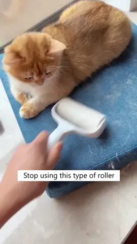 Shop now at link in bio  #cat #catsoftiktok #dog #dogsoftiktok #pet 