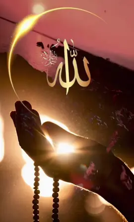 #الله #foryoupage #islamtiktok #fyp #muftimenk 