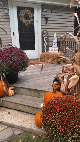 Cheapest spots for outdoor fall decor #costcofinds #traderjoes #falldecor #fallporch #acehardware 