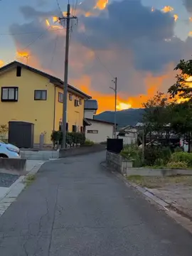 #japan #japan #🇯🇵 とても良い🥺🥺