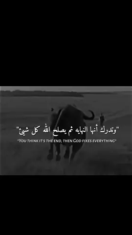 كل شيئ