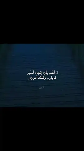قناة التلي موجوده بالبايو . #أنجيل 