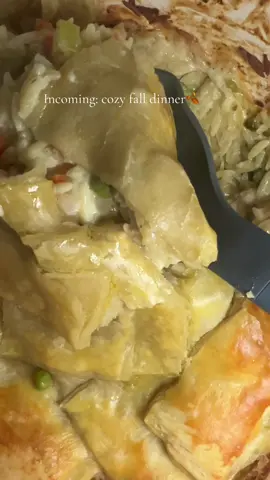 Tonight on the cozy seasonal menu 🍂Dutch Oven Chicken Pot Pie Orzo 4 tbsp butter 2 tbsp olive oil 1/2 tbsp each fresh chopped: thyme, rosemary and sage 6 cloves garlic, minced 1 tbsp each: chopped fresh rosemary,sage and thyme 1 1/2 cups chopped carrots 1 cup chopped celery 1 1/2 cups frozen peas 1/4 cup white wine 1 1/2 cups uncooked orzo 3 cups chicken broth 1 1/2 cups shredded rotisserie chicken 1 1/2 cups milk 1 package boursin cheese 1 sheet puff pastry, cut into sections Melt butter and olive oil over medium high heat. Saute onion and a pinch of salt for about 5 minutes. Add garlic, herbs and veggies and cook for a few more minutes. Deglaze pot with white wine. Stir in orzo and cook for couple more minutes to toast. Stir in the broth and bring to a simmer. Cover and cook for 6-8 minutes. Stir in chicken and milk and cover and cook for 3 more minutes until milk is mostly absorbed. Add the Boursin to the center of the pan and cover and cook for a couple more minutes until it starts to melt and orzo is al dente. Stir to combine and smooth out the top of the orzo, sprinkle with s&p to taste. Cut puff pastry into squares and cover the top of the filling. Brush with egg wash. Bake for 20-25 minutes until the puff pastry is golden brown. Enjoy!  #onepotorzo #cozyfalldinner #chickenpotpie #dutchovencooking #onepotmeals 