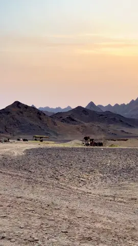 ❤️‍🩹🔥 #baloch #balochistan #nushki #ahmedwal #chagai #kharan #washuk #nimruz #zahedan #chabahar #desertlife #mountainsview #explorepage #exploringnature #adventure #motherland #mybalochistan #nushki_the_city_of_golden_deserts #اکسبلور #بلوچستان_عشق_است #ahmed_baloch47 #crf250l #crf250rally #crf450r 