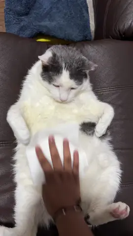 Clean mah belly #fyp #viral #pibby #washmahbellay 