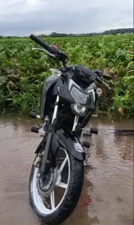 হুম ভাই 🥺 #trending #foryou #fyp #viral #viral 