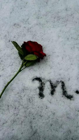 aye mohabbat 😭💔🥀🥺❤️‍🩹😭💔 #foryoupage #fyp #trending #viralvideo #foryou  @𝑴𝒆𝒓𝒊 𝑱𝒂𝒏🌹𝑴🫂