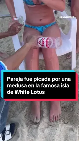 Pareja fue picada por una medusa en la famosa isla de White Lotus #entretenews #salud #picadura #serie #hollywood
