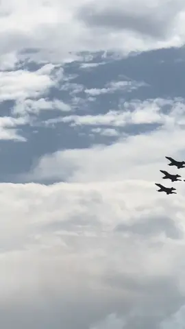 Blue Angels Show. So cool seeing these planes up close. A must do! #fyp #fypシ #fypage #blueangels #blueangelsairshow 