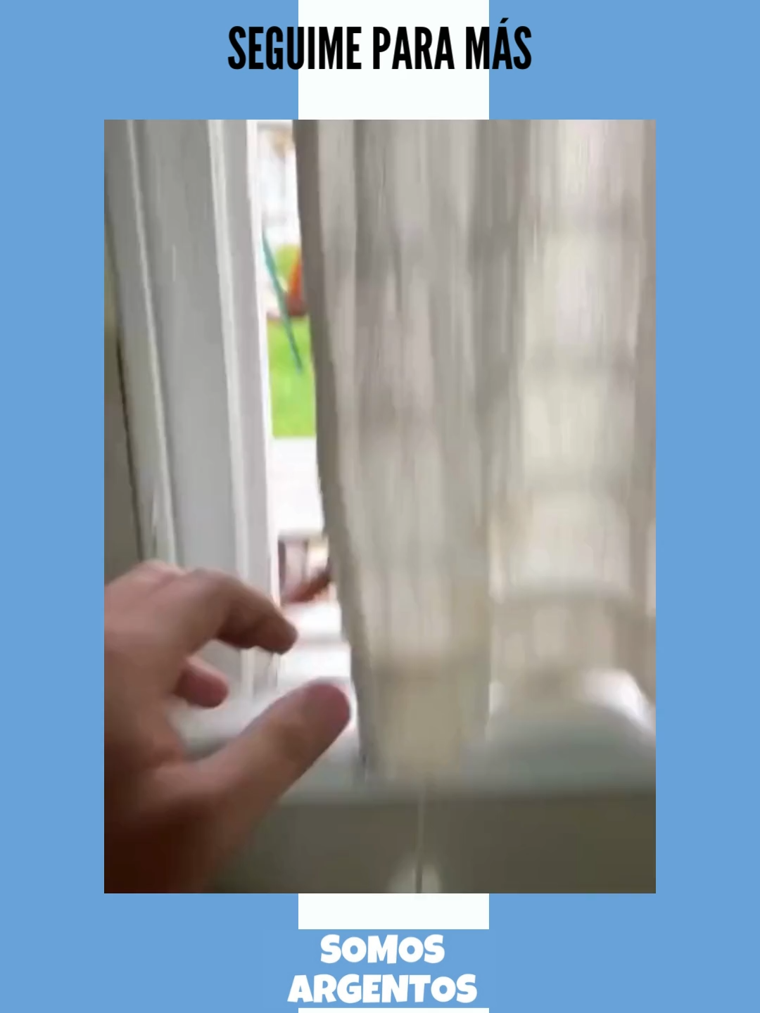 ¡SEGUIME PARA MÁS!