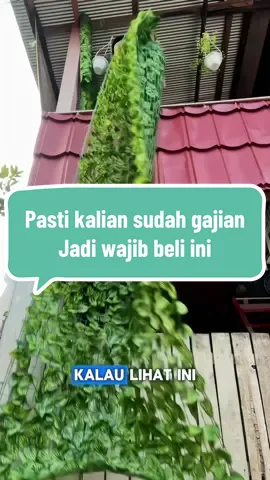 Jangan rakus beli 1 Roll saja karna sudah panjang sekali #dekorasirumah #daunrambat #daunsintetis #daunrambat3meter 